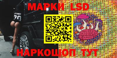 mdpv Будённовск